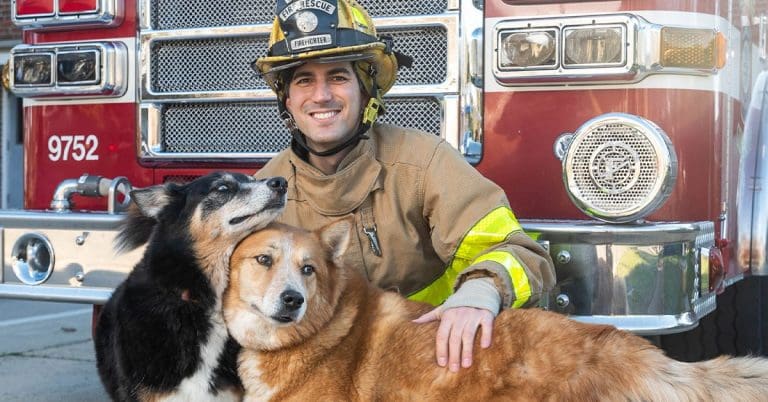 Nicholas Scully Dexter featured