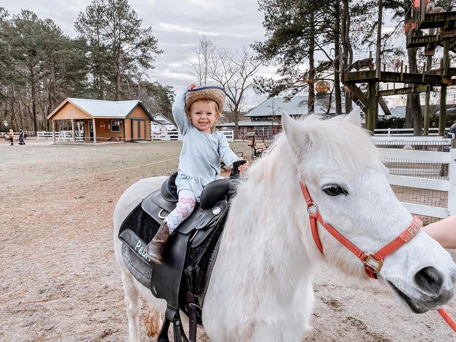Pony Rides Pearl Cova Extended Ad Kbk 2021