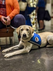 Vista Building Snow Cova21 Giving Back Event Pxl 20211110 235623301portrait Hr Lr