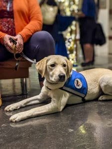 Vista Building Snow Cova21 Giving Back Event Pxl 20211110 235624124portrait Hr Lr