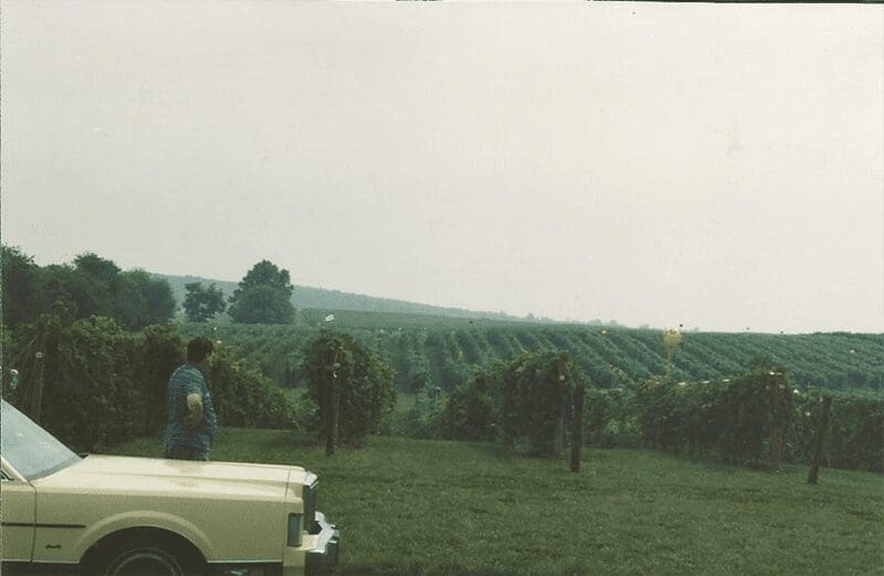 PLANTING PIONEER The late Dennis Horton of Horton Vineyards put Virginia on the wine map by successfully growing the viognier varietal and was a champion of Virginia's native Norton grape.