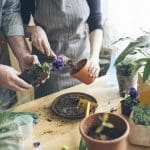 People learning to garden, potting plants.