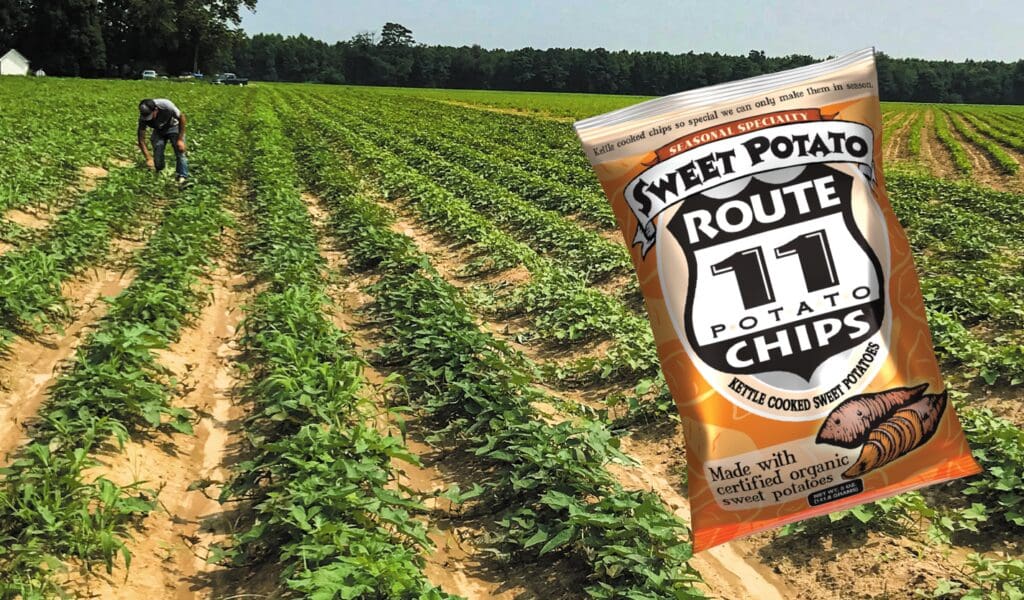 Route 11 Sweet Potato Chips