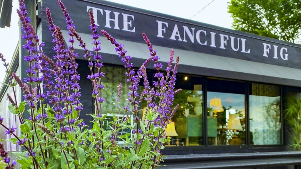 Photos Courtesy of Fanciful Fig on Facebook