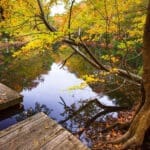 Photo by Ben Herndon Courtesy of The Nature Conservancy