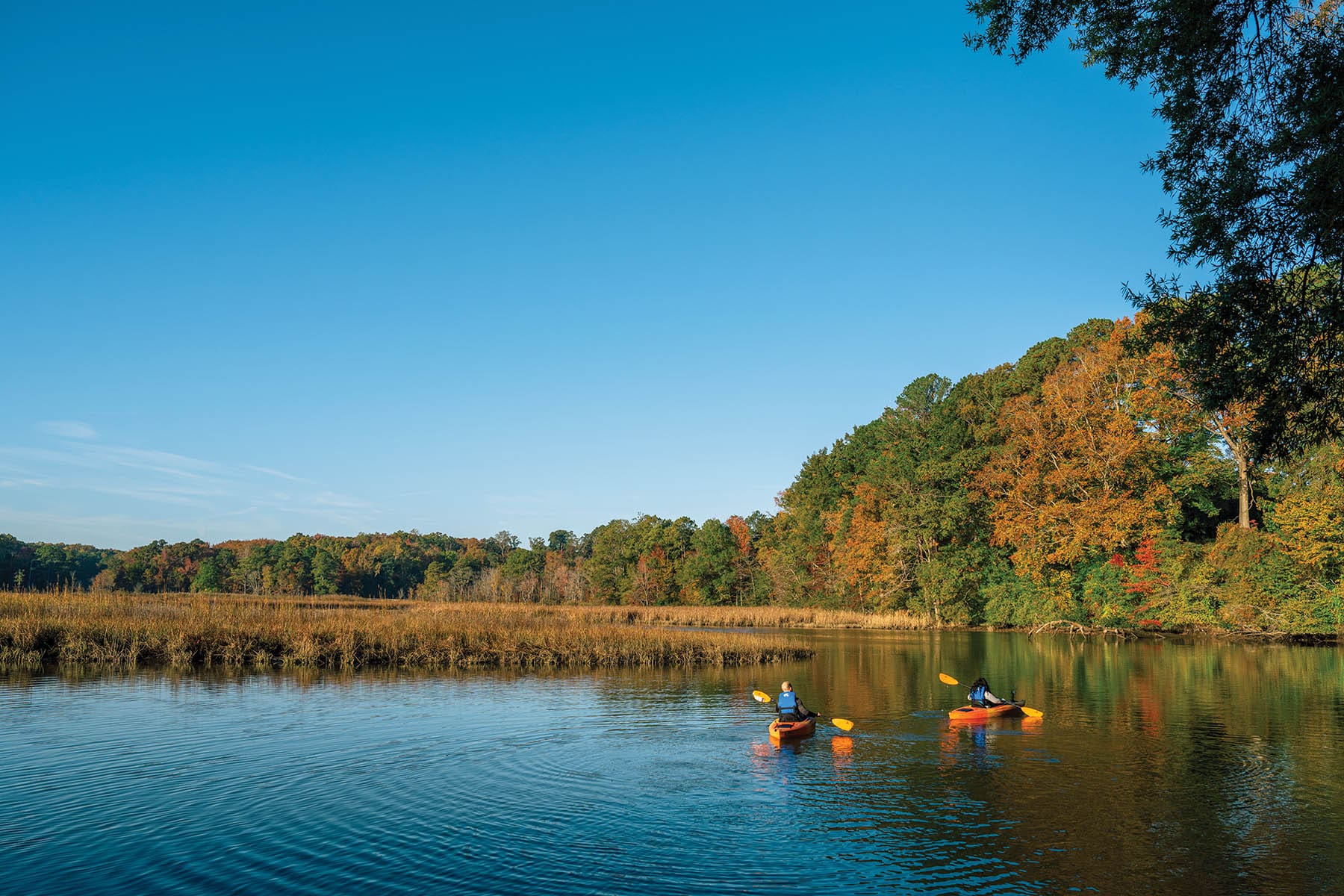 Town of Tappahannock Coastal Virginia Magazine