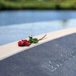 VB Strong memorial