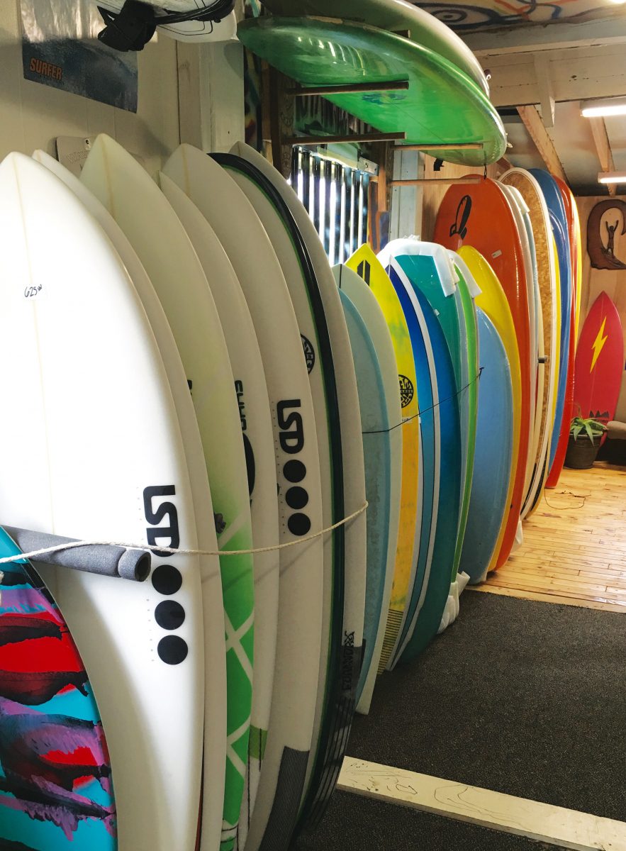 surfboards at Pungo Board House