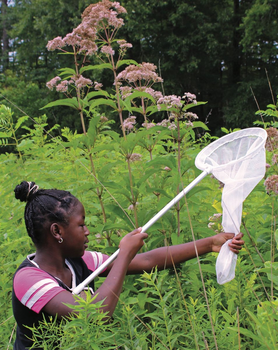 Virginia Nature Conservancy, Northampton County Summer Migrant Education Program