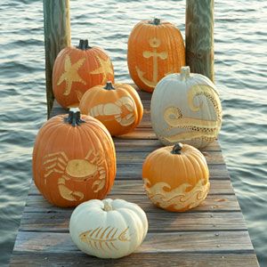 Coastal Pumpkin carvings