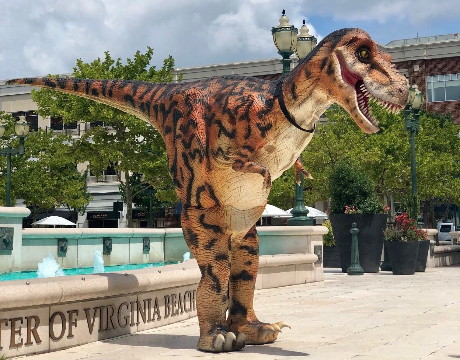 Virginia Beach Dinosaur Museum